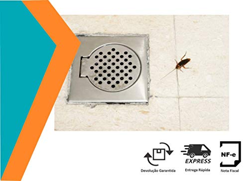 Kit com 2 Inseticida Mata Barata, Pulga e Formigas K-Othrine® em Pó - 100g