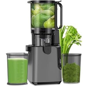 Juicer Machines with 5.8″ Extra Large Feed Chute, Cold Press Juicer For Whole Vegetables and Fruits, 350W Professional Slow Masticating juicer Easy to Clean for Batch Juicing (Titanium Gray)