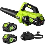 RYAHT Leaf Blower Cordless, 21V Powerful Electric Leaf Blower with 2 X 4.0Ah Batteries and Charger, 2 Speed Modes, Handheld Lightweight Leaf Blowers for Lawn Care, Patio, Dust, Blowing Leaves, Green