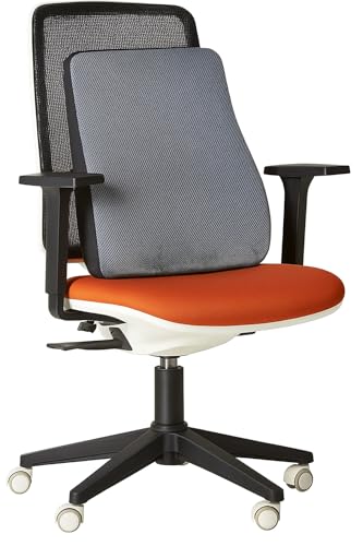 Image of NTGS PU Foam Backrest with Adjustable Strap - Ergonomic Back Pillow for Office Chair, Car Seat, Home & Travel Orthopedic Lumbar Support Cushion for Chair.