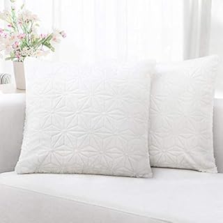 Elegear 2 Pack Funda de Cojín 45x45cm, Fundas Cojines Decorativas de Terciopelo Muy Suave Funda de Almohada Cuadrada Hogar para Sofá Sillas Cama Sala Habitación Dormitorio, Blanco