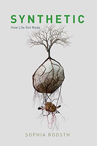 Télécharger Synthetic: How Life Got Made (English Edition) PDF Ebook En Ligne
