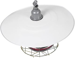 Balacoo Lâmpada De Calor De Leitão Aquecedor De Cerâmica Lâmpada De Calor De Cerâmica Lâmpada De Calor De Lâmpada De Preservação De Calor De Gado Lâmpada De Gado De Aquecimento