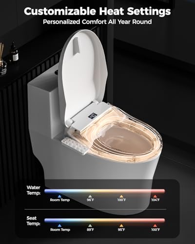 Luxury Heated Toilet Seat Bidet Combo