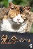 猫に会いたくて　気ままな昼下がり (猫パンチ)