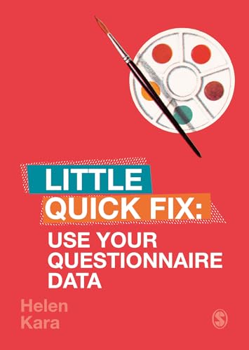 Use Your Questionnaire Data: Little Quick Fix view 2