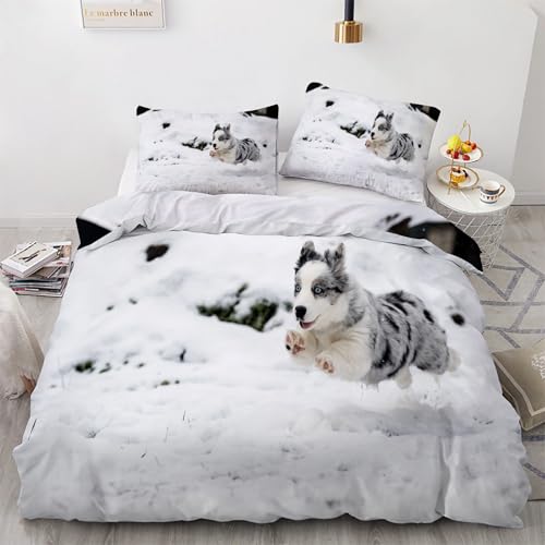 Housse de couette 200x200 chat gris pour une chambre cosy et cocooning - 2