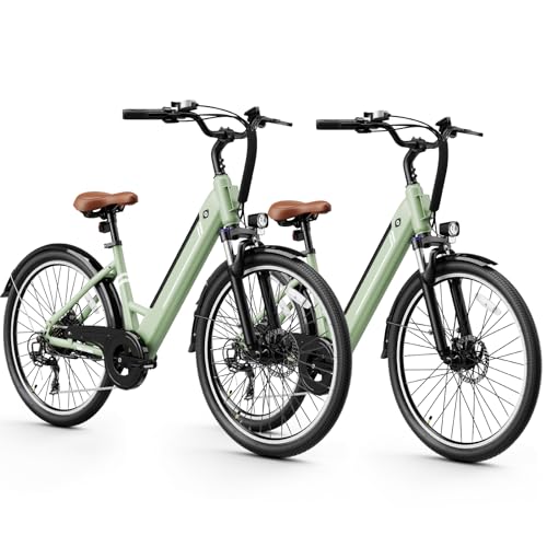 Jasion YC1 ST 26" Electric Bike, 750W Peak Motor, 360WH