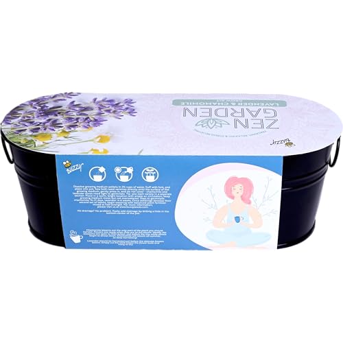 Buzzy Seeds Chamomile Lavender Seed Grow Kit, Wellness Inspired Mini Garden Windowsill Planter, Indoor Herb and Flower Starter Set, Gardening Gift for Her, Birthday Present for Gardeners