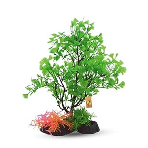 Foodie Puppies Aquarium Plastic Plants with Resin Base Decor – (Coriander Leaves Plant, 23cm) for Fish Tank Ornament Accessories, Natural Looking Artificial Plant for Freshwater & Saltwater