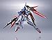 TAMASHII NATIONS Bandai Metal Robot Spirits Destiny Gundam Mobile Suit Gundam: Seed Destiny Action Figure