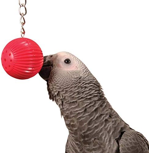 Birdy Babble Ball - Interactive Parrot Toy