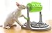 Ito Rocky Interactive Dog & Cat Food Puzzle Toy - Treat Boredom Dispensing Slow Feeder - Anxiety IQ Training in Smart Feeding and Adjustable Height for Small/Medium Dogs