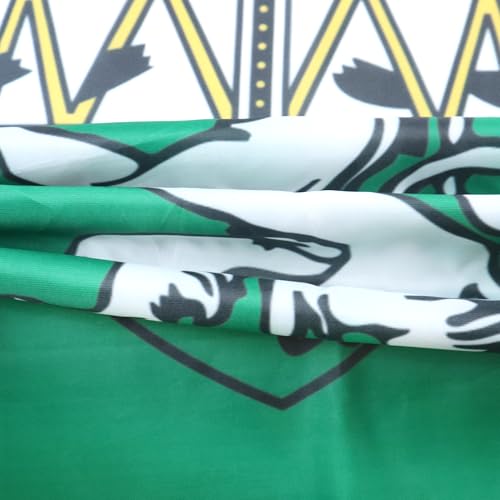 AZ FLAG - Flagge Steiermark - 90x60 cm - Steiermark Fahne 100% Polyester mit Messing-Ösen - UV-beständig - Vives Farben - 50g