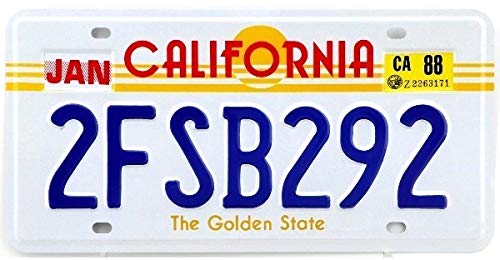 - Lot von 10 US-Autokennzeichen aus Metall – Nachbildungen echter amerikanischer Kennzeichen V1BIS