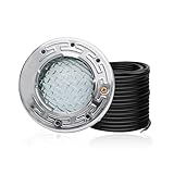 CAtArt 6 Inch...image