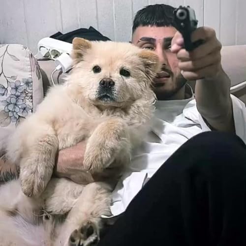 『Malaklı Freestyle 3.0』のカバーアート