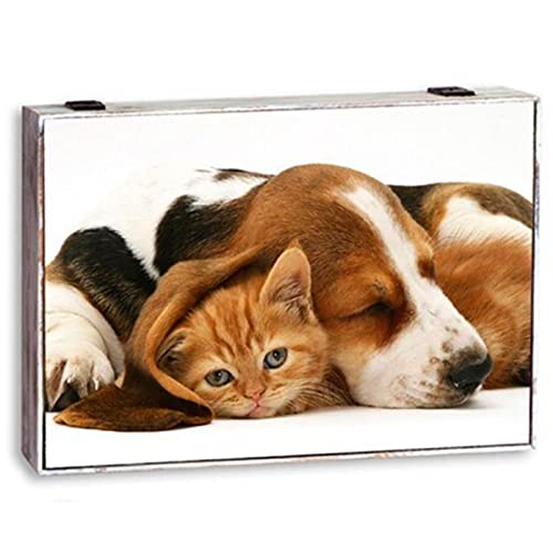 Acan Tradineur - Tapa de Madera para Contador Decorada, Cubre Cuadro de luz con Cierre metálico, Accesorio Decorativo, Original, Resistente (Perro y Gato, 46 x 31 x 5,6 cm, Modelo Aleatorio)