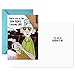 Hallmark Maxine Funny Birthday Cards Assortment (5 Cards with Envelopes)