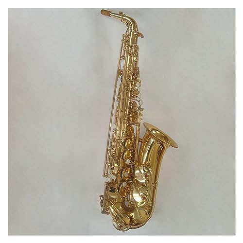 vtFbVi TbNX ^J{fBS[hbJ[\ Eb g[AgTbNXy}EXs[X