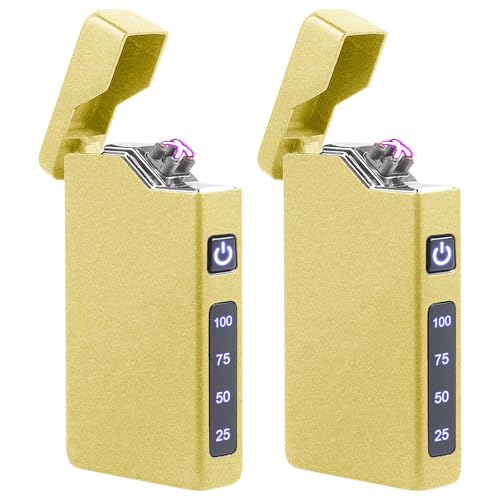 GBKDQQ 2 Stück Elektrisches Lichtbogen Feuerzeug, USB Aufladbar, Tragbares Feuerzeug mit Batterieanzeige, Geschenk für Männer Frauen mit Geschenkbox (Gold) GBKDQQ 2 Stück Elektrisches Lichtbogen Feuerzeug, USB Aufladbar, Tragbares Feuerzeug mit Batterieanzeige, Geschenk für Männer Frauen mit Geschenkbox (Gold)