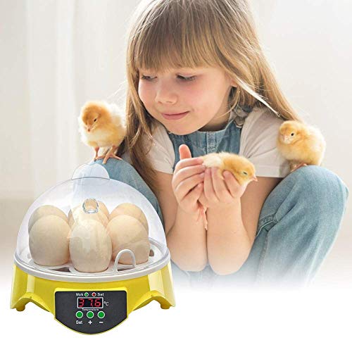 WXHN 7 Eier Digital Inkubator, Mini Automatische Hühnerente Gans Vögel Brutmaschine, Sichtbar entworfene automatische… – Bild 8