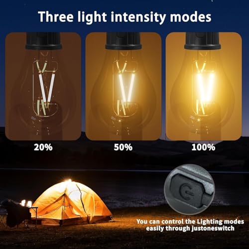 Image of WELLUCK Rechargeable Camping Hanging Bulb, Waterproof LED Tent Light with USB Cable, 3 Modes Hanging Camping Lantern, Hanging Lamp for Hiking, Emergency, Household (Multi, Medium)