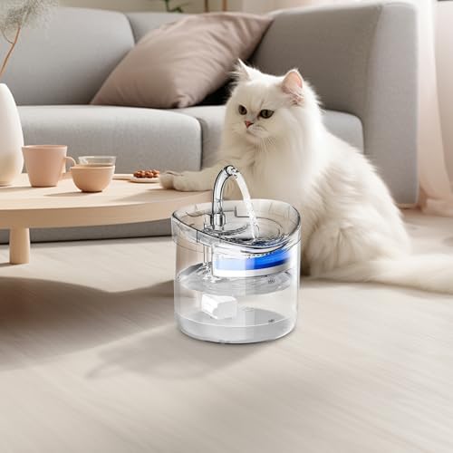Fuente para gatos de 2 litros idónea para la hidratación de mascotas en el salón 5