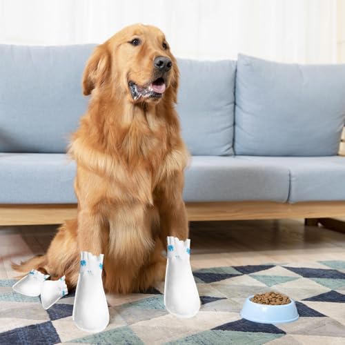 XSDSLS 20 Stück Einweg-Hundeschuhe,Einweg-Hundesocken,Pfotenschutz,Waterproof Hundefußabdeckungen Socken für Haustiere, Hunde, Welpen, drinnen und draußen (Weiß, M)