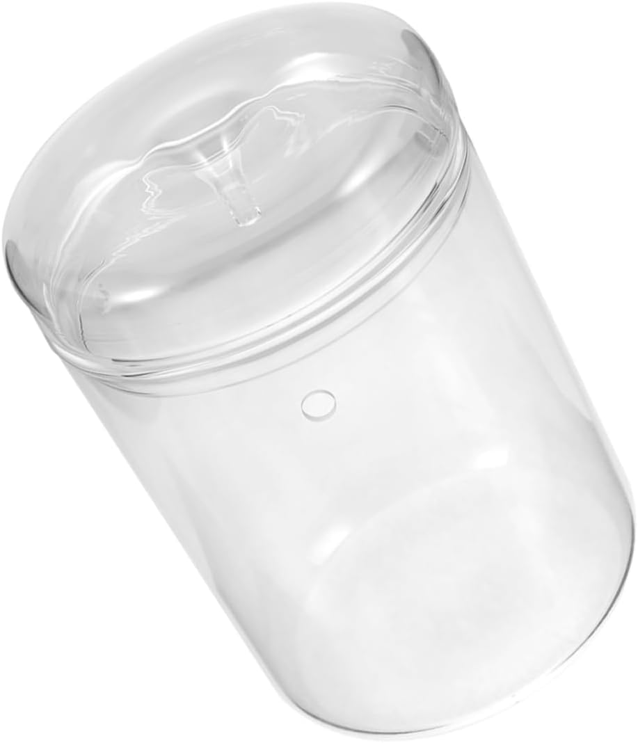 Micro Landscape DIY Bottle Plant Stand for Indoor Plants Eco-Friendly Glass Vase Boho Home Decor