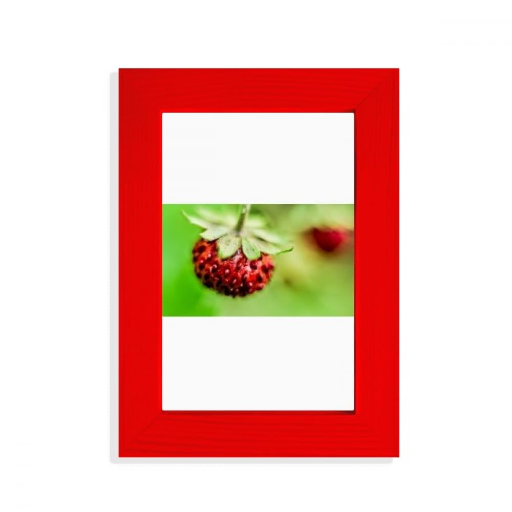 Cadre photo nature Fresh Berry rouge une idée cadeau idéale et colorée