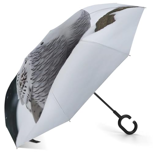 Parapluie inversé coupe-vent compact et automatique avec motif hibou des neiges
