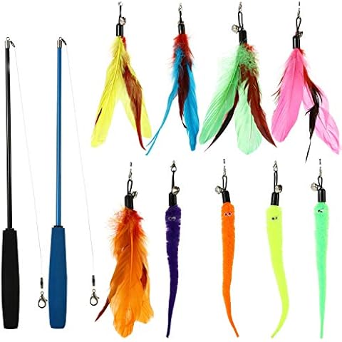 Buddy Wild Cat Toys - Interactive 11 piece toy set with retractable teaser wands and feather worm toys - variety of vibrant colours - activity toys to exercise cats and kittens Cover