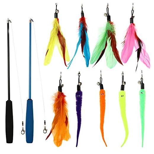 Kattenhengel: Waarom jouw kat er dol op is. 20x de Beste 14 Buddy Wild Kattenspeeltjes - Interactieve 11-Delige Speelgoedset met Intrekbare Kattenhengels en Kattenveertjes - Diverse Levendige Kleuren - Kattenspeelgoed om Huiskatten en Kittens te Trainen