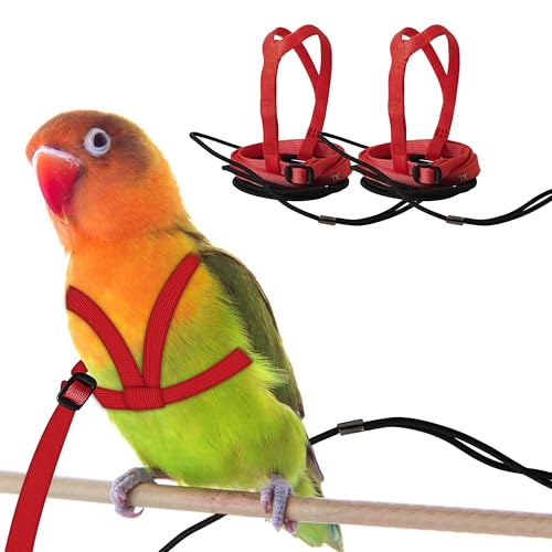 HOKABLE 2 pcs Pet Parrot Bird Harness and Leash, Adjustable Training Design Anti-Bite, Outdoor Flying Training Rope Kit for Bird Parrots Fits Birds Chest Between24-51cm /9.45-20inch - M (red