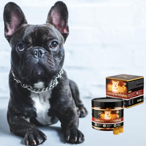 GastroBalance linderung verstopfung beim Hund – 60 weichen kausnacks abführmittel für Hunde 100% natürliche Wirkstoffe (Deutsch)