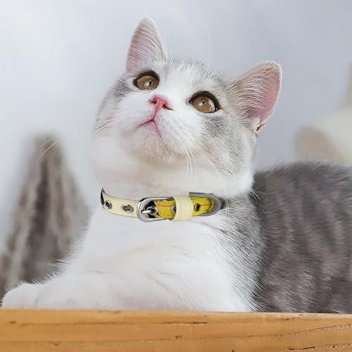 Collier pour chien réglable avec boucle clipsable pour chat - 6