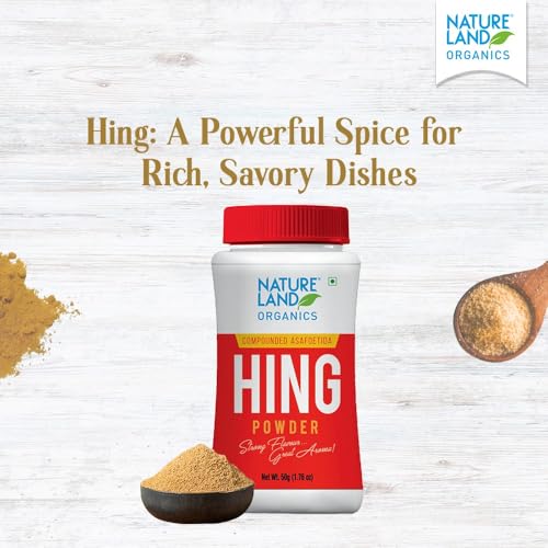 Image of Natureland Organics Hing Powder 50 gm (Pack of 4)
