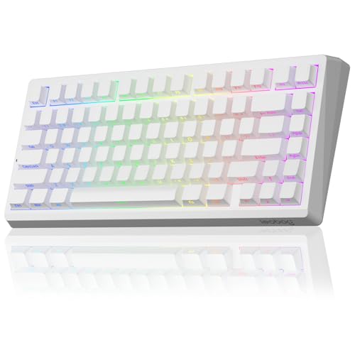 Image of LEOBOG A80 RT Hall Effect Gaming Keyboard Wired, Rapid Trigger Magnetic Switch Keyboard with 0.01mm RT Adjustable Actuation, 8000Hz Polling Rate, RGB Backlit Mechanical Keyboard 75% for PC Gamer