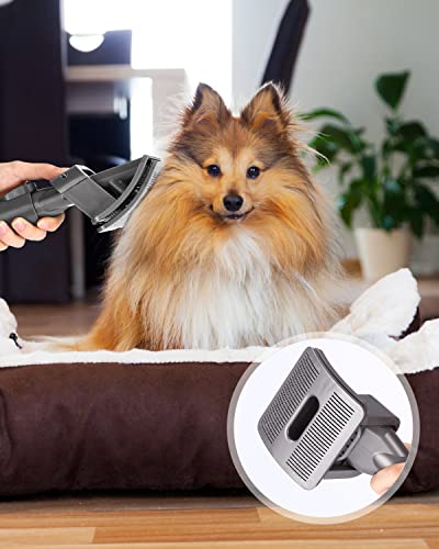 Groom Hundebürste für Dyson Staubsauger Adapter für Dyson V15 V12 V11 V10 V8 V7,Hund Tierhaarbürste Aufsatz mit 1 Verlängerungs Schlauch,1 Adapter,2 Organizer auslösen,2 Bürsten