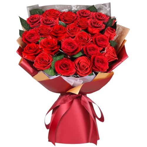 ADDWel 24 Pcs Preserved Real Red Roses, Two Dozen Long