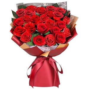 ADDWel 24 Preserved Real Red Rose B...