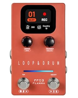 Stereo Looper Pedal with Dual Footswitch Control: This stereo looper pedal features dual footswitches for intuitive control of record, overdub, play, stop, undo/redo, and clear loop functions. Designed for smooth operation during live performance, st...
