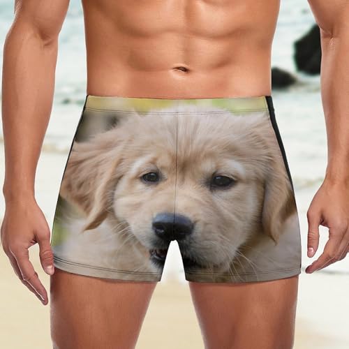 Swim briefs chiot mignon homme confortable pour nager - 5