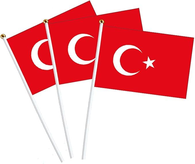 50 Stück Türkische Mini Handflagge Banner 14x21cm Mit 30cm Plastik-Fahnenmast - Feiertag Parade Dekoration
