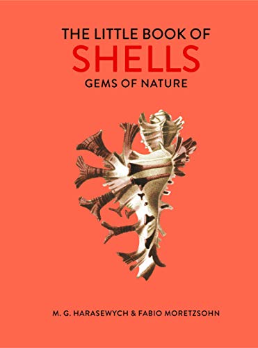 The Little Book of Shells: Gems of Nature (English Edition)