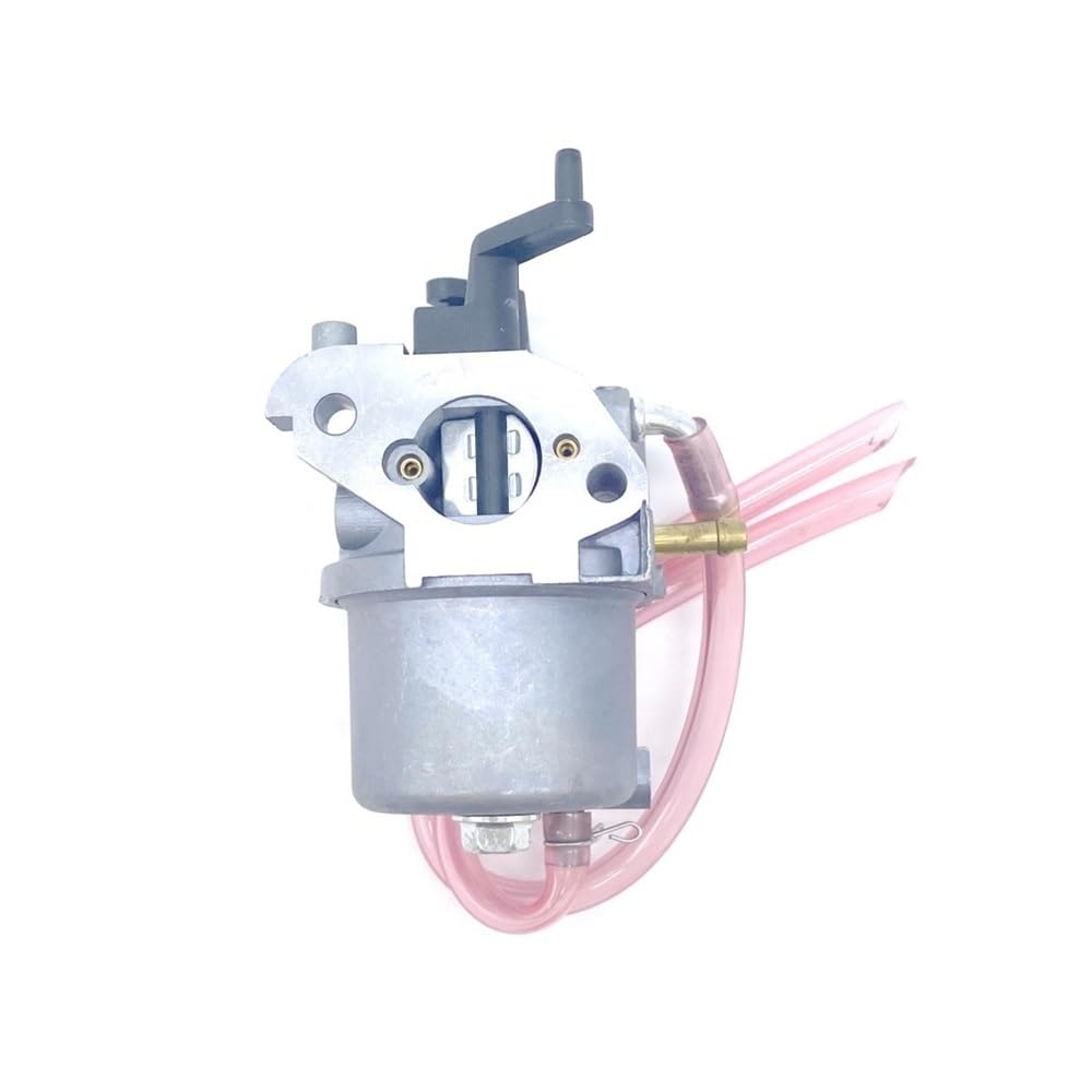Carburateur pour G100 16100-896-308 : pièce de rechange moteur 2HP