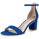 PIZZ ANNU Women's Open Toe Ankle Strap Low Block Chunky Heels Sandals Party Dress Pumps Shoes Strappy Buckle Sandals with 2.6' Tall Thick Heel Design, Blue 8.5