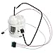 Delphi FE0691 Fuel Pump Strainer Set