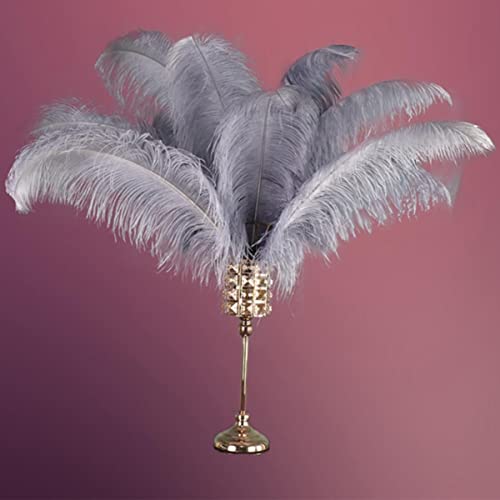 Plumes d'autruche grises de haute qualité pour décoration haut de gamme - 2
